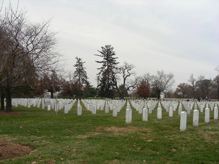 DSCN3155.gif - Arlington National Cemetery (Nov '08)